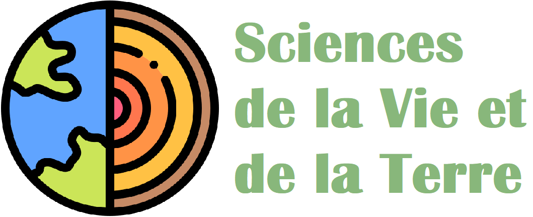SVTDuquenne
